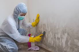 Best Industrial Mold Remediation  in Byram, MS